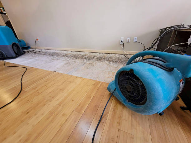 Professional Flood Damage Cleanup technician working in Turney, MO